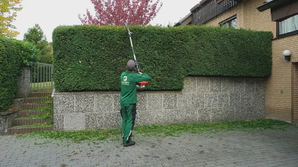 Hohe Bußgelder für den Frühjahrsschnitt der Hecke. Dieser Fehler kann teuer werden