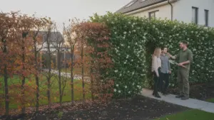 Vergiss die Photinie. Dieser übersehene Strauch schützt deinen Garten auf leise Art